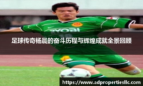 足球传奇杨晨的奋斗历程与辉煌成就全景回顾